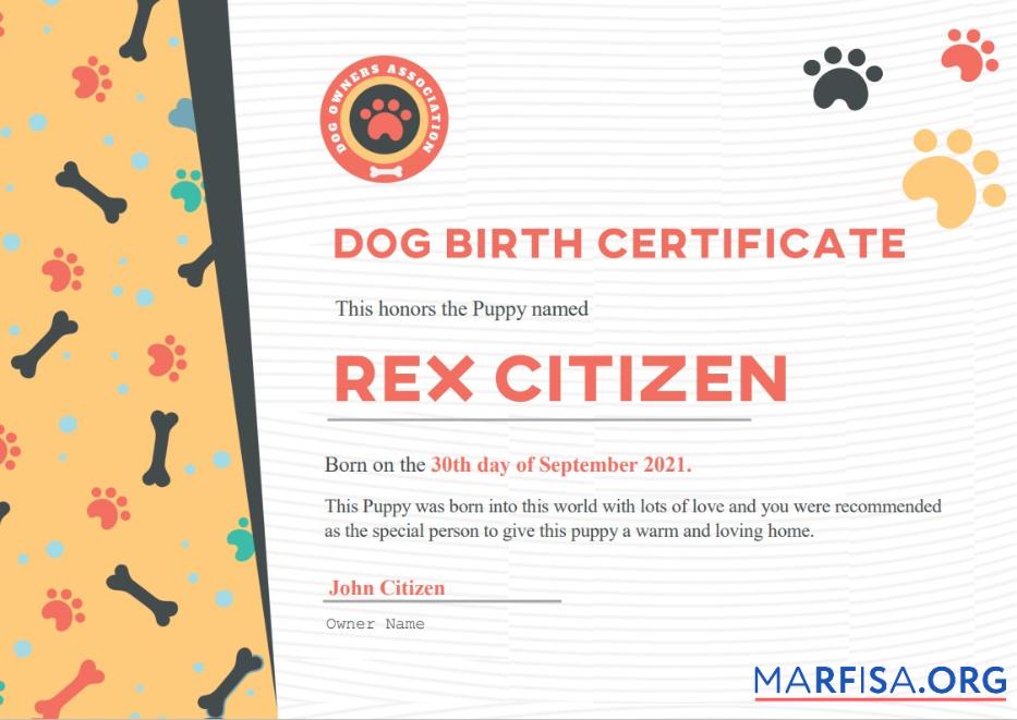 Printable USA Dog Birth cert sample
